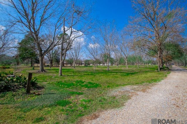 14204 Patin Dyke Rd, Ventress, LA 70783