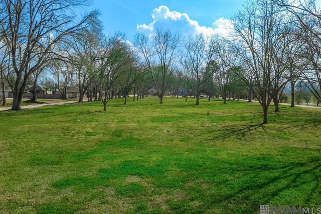 14204 Patin Dyke Rd, Ventress, LA 70783