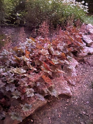 7753 Lakota Springs Drive, West Chester, OH 45069