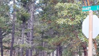 000 Redwood Highway, Cave Junction, OR 97523