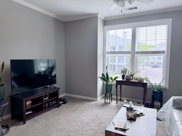 130 River Landing Drive Unit 9205, Charleston, SC 29492