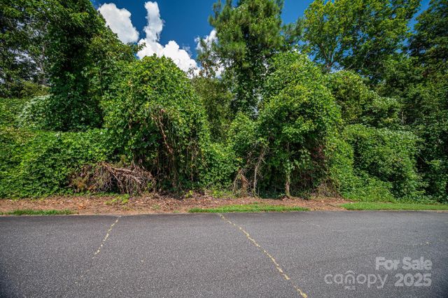 Lot 25 Line Drive, Forest City, NC 28043