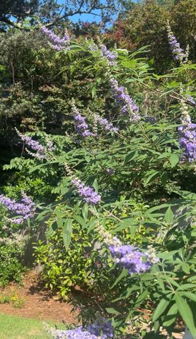 26 SE Okahatchee Circle, Fort Walton Beach, FL 32548