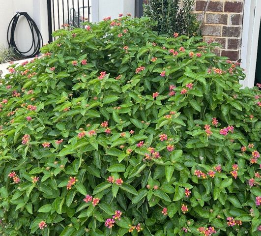 26 SE Okahatchee Circle, Fort Walton Beach, FL 32548