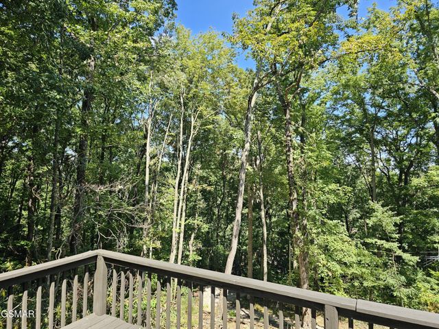 3434 Rocky Ridge Road, Cosby, TN 37722