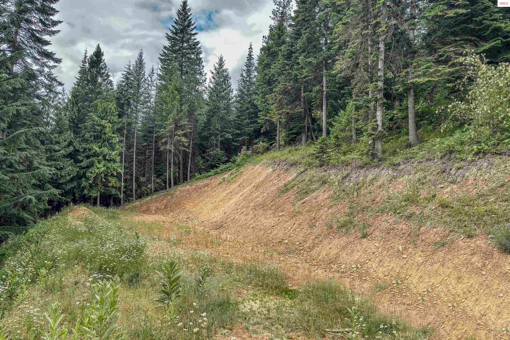 NNA Makridge Lane, Kingston, ID 83839 photo 10