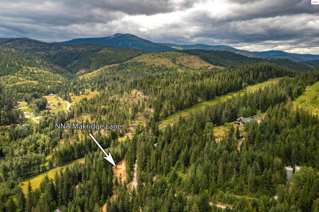NNA Makridge Lane, Kingston, ID 83839 photo 11