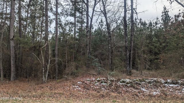 Tbd Cameron Hill Road, Cameron, NC 28326