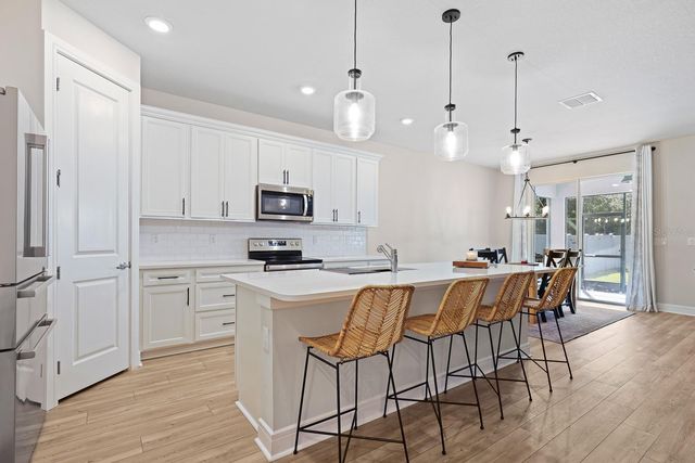 12945 BROOKSIDE MOSS DRIVE, Riverview, FL 33579