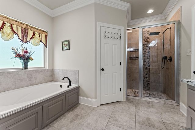 17053 Hardy Ln, Prairieville, LA 70769
