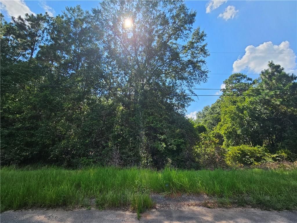 0 Richard Lane, Eight Mile, AL 36613 — photo 2