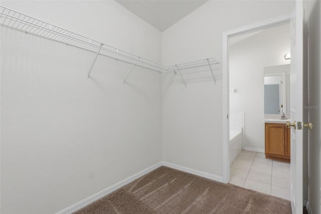 3006 AMBER OAK DRIVE, Valrico, FL 33594