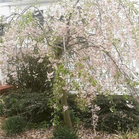 8021 Glen RD W, Norfolk, VA 23505