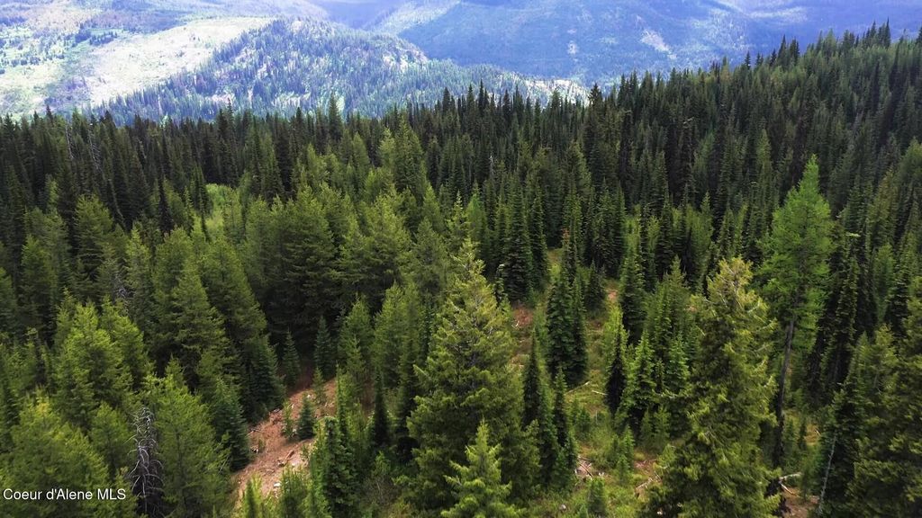 NKA 640 AC Pack Creek Road, unincorporated, ID 83525 photo 6