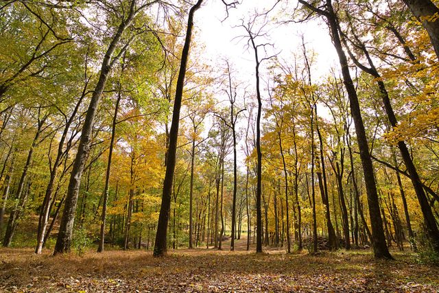 1496 Coleman Rd, Franklin, TN 37064