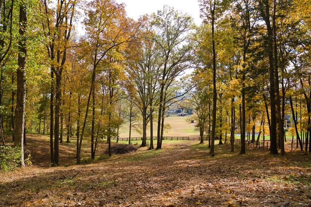 1496 Coleman Rd, Franklin, TN 37064