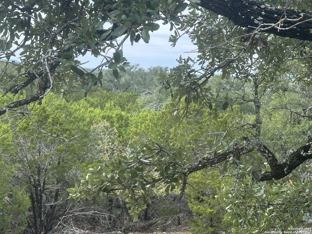 596 Oakridge Ln, Pipe Creek, TX 78063