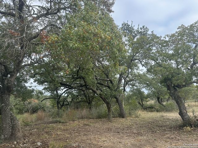 596 Oakridge Ln, Pipe Creek, TX 78063