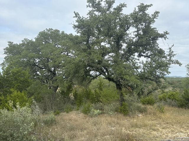 596 Oakridge Ln, Pipe Creek, TX 78063