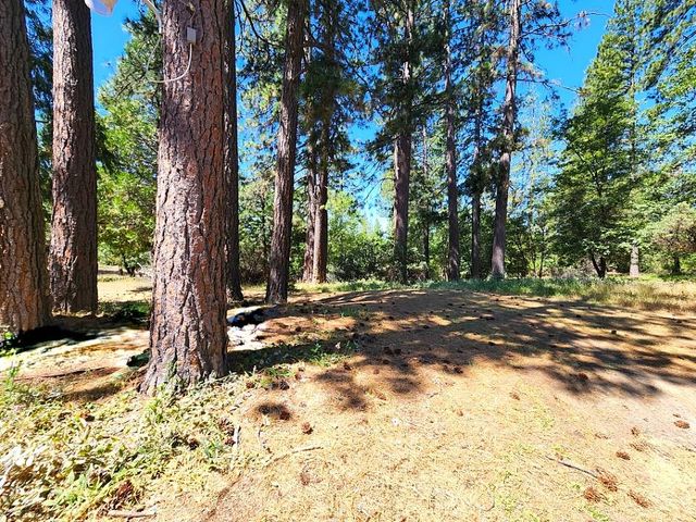 3614 N Railroad Flat Rd, Wilseyville, CA 95257
