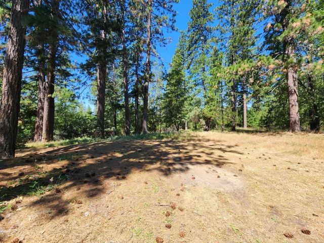 3614 N Railroad Flat Rd, Wilseyville, CA 95257