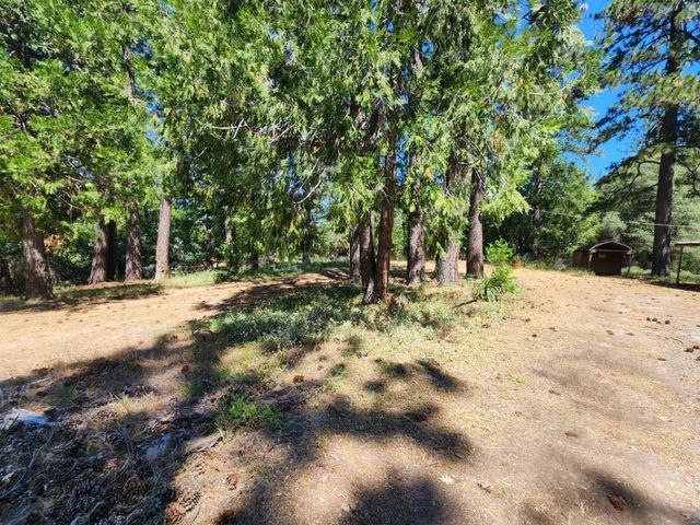 3614 N Railroad Flat Rd, Wilseyville, CA 95257