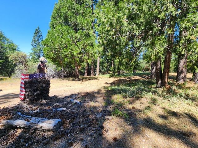 3614 N Railroad Flat Rd, Wilseyville, CA 95257