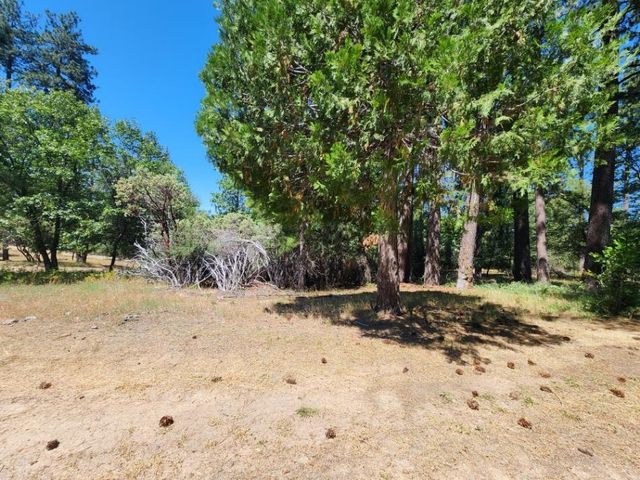 3614 N Railroad Flat Rd, Wilseyville, CA 95257