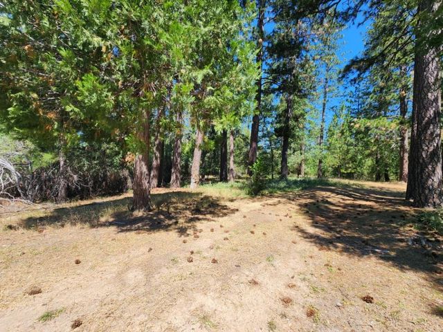 3614 N Railroad Flat Rd, Wilseyville, CA 95257