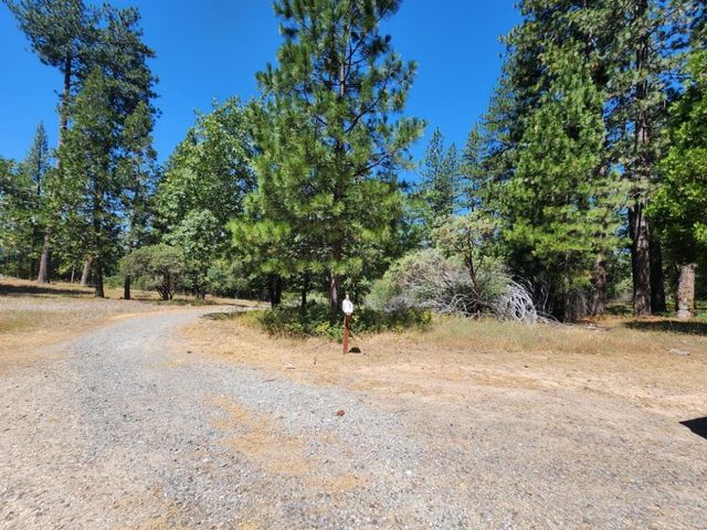 3614 N Railroad Flat Rd, Wilseyville, CA 95257