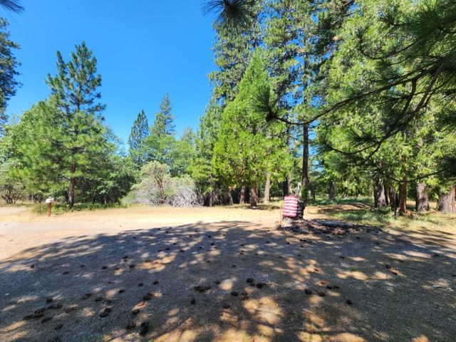 3614 N Railroad Flat Rd, Wilseyville, CA 95257
