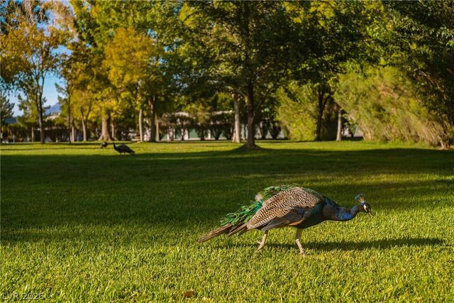 8405 Mystic Night Avenue, Las Vegas, NV 89143