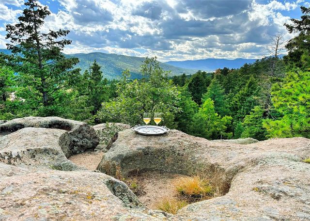 8838 Hillview Road, Morrison, CO 80465