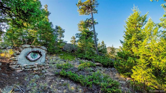 8838 Hillview Road, Morrison, CO 80465