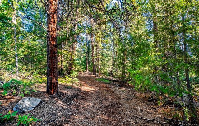 8838 Hillview Road, Morrison, CO 80465