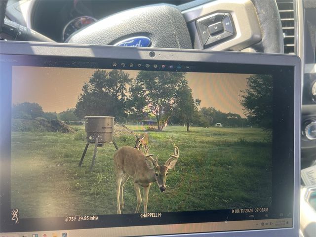 10250 Jenny Lynn Lane, Chappell Hill, TX 77426