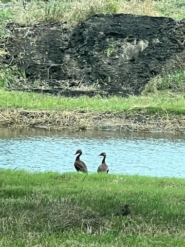 10250 Jenny Lynn Lane, Chappell Hill, TX 77426