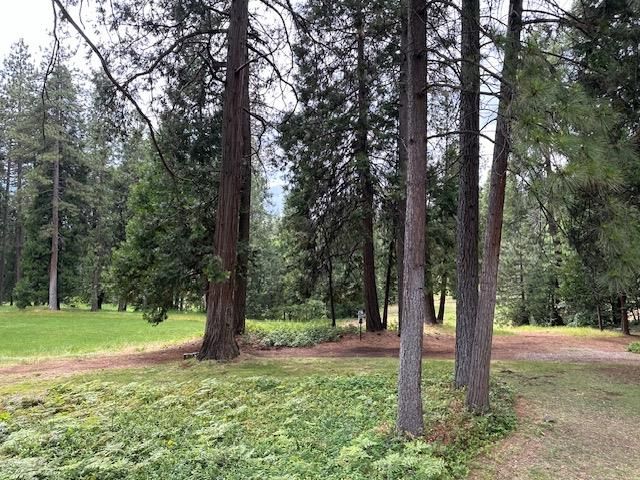 1128 Fairway Ct, Murphys, CA 95247