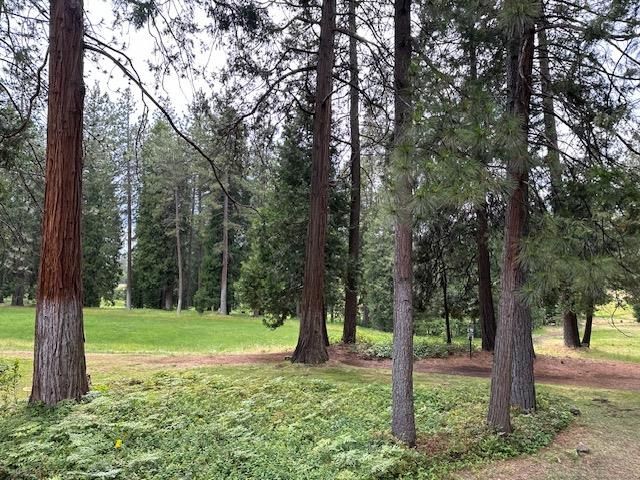 1128 Fairway Ct, Murphys, CA 95247