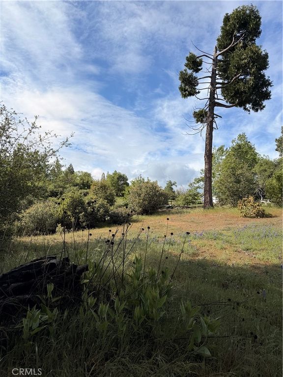 Image 1 of property listing at 39 Manzanita Drive, Oakhurst, CA 93644