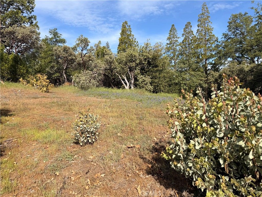 Image 2 of property listing at 39 Manzanita Drive, Oakhurst, CA 93644