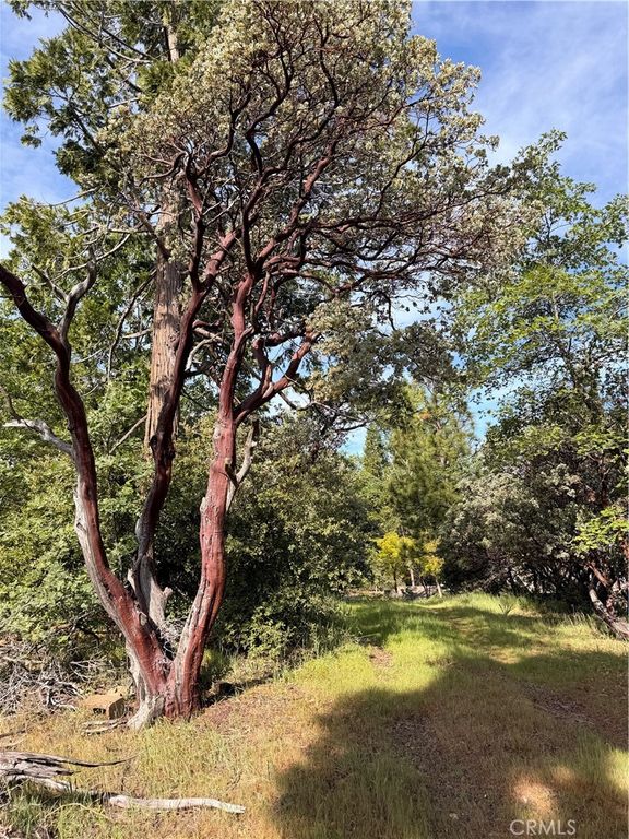 Image 4 of property listing at 39 Manzanita Drive, Oakhurst, CA 93644