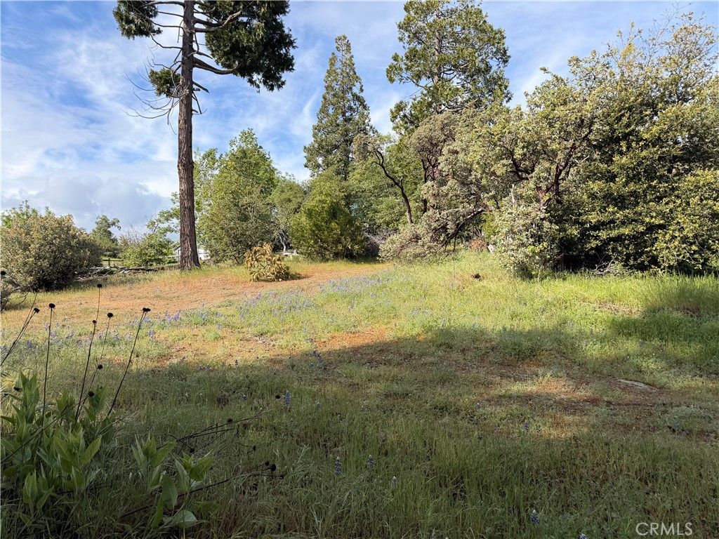 Image 5 of property listing at 39 Manzanita Drive, Oakhurst, CA 93644