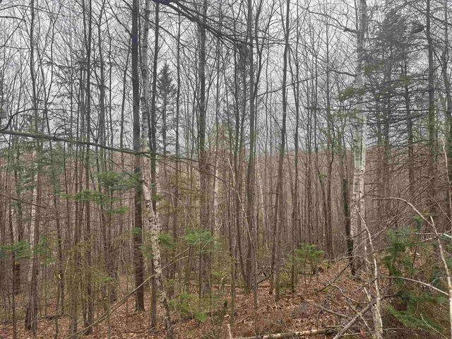 231 John Rock Road, Wheelock, VT 05851