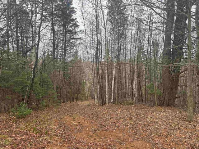 231 John Rock Road, Wheelock, VT 05851