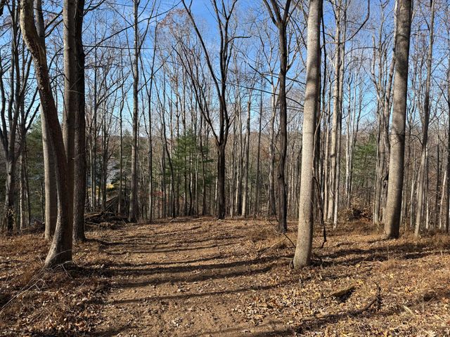LOT 9 TIKI TERRACE, Goodview, VA 24095