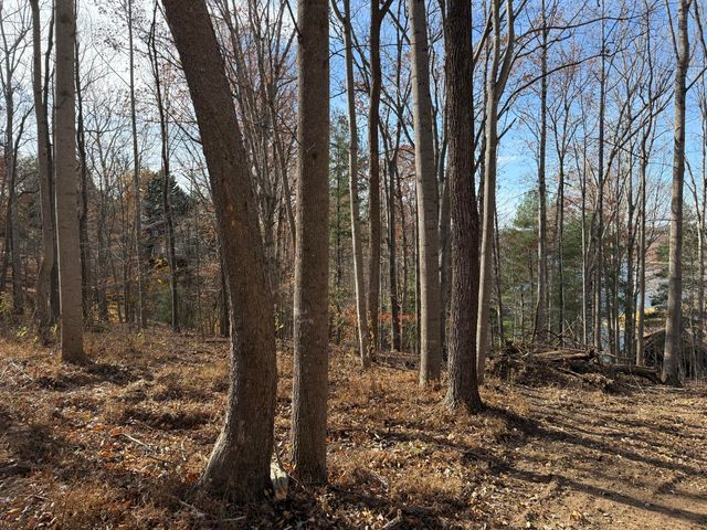 LOT 9 TIKI TERRACE, Goodview, VA 24095