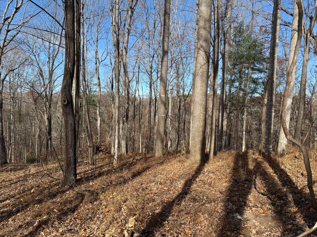 LOT 9 TIKI TERRACE, Goodview, VA 24095