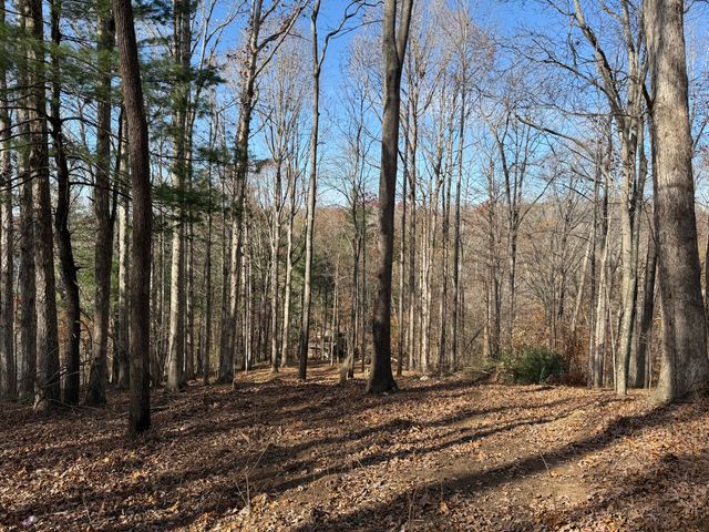 LOT 9 TIKI TERRACE, Goodview, VA 24095