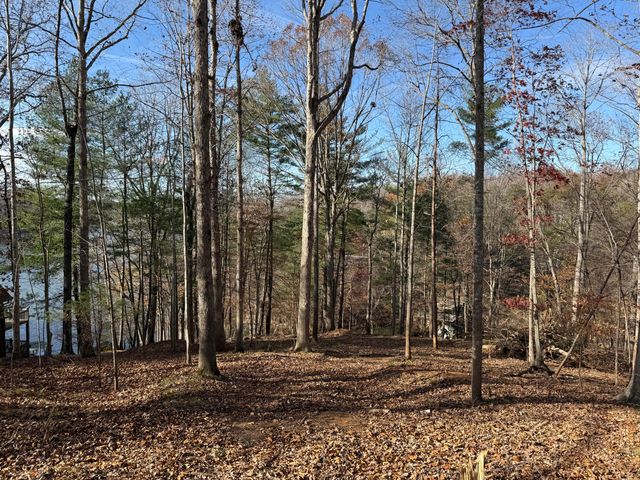 LOT 9 TIKI TERRACE, Goodview, VA 24095
